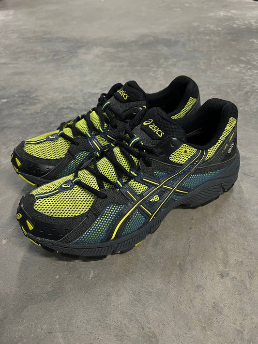 Asics Gel Arctic 4 Gore-Tex Shoes